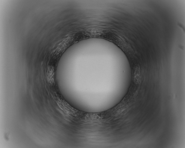 X0000101230866200807111118