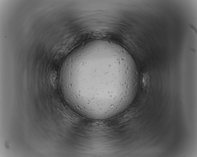 X0000101230867200807111118