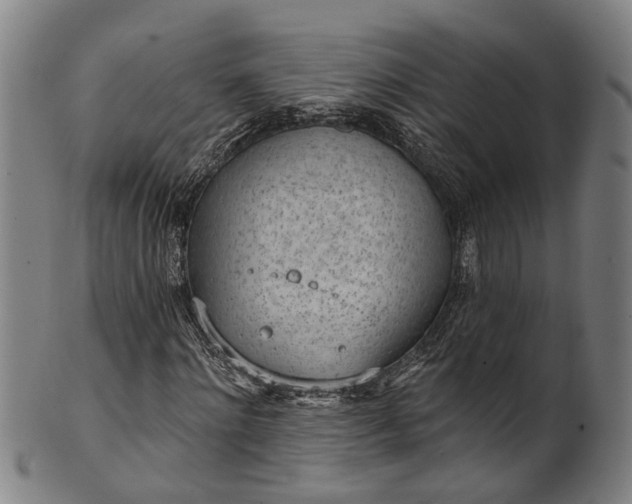 X0000101230868200807111118