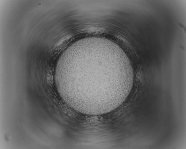 X0000101230869200807111118