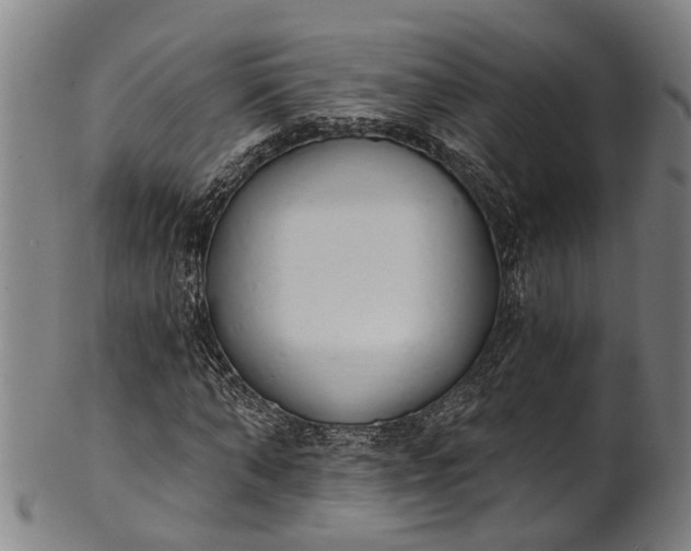 X0000101230870200807111118