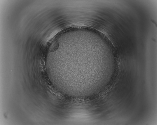 X0000101230871200807111118