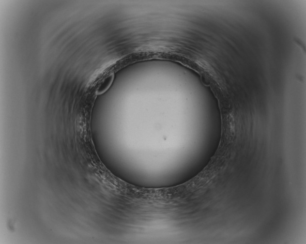 X0000101230872200807111118