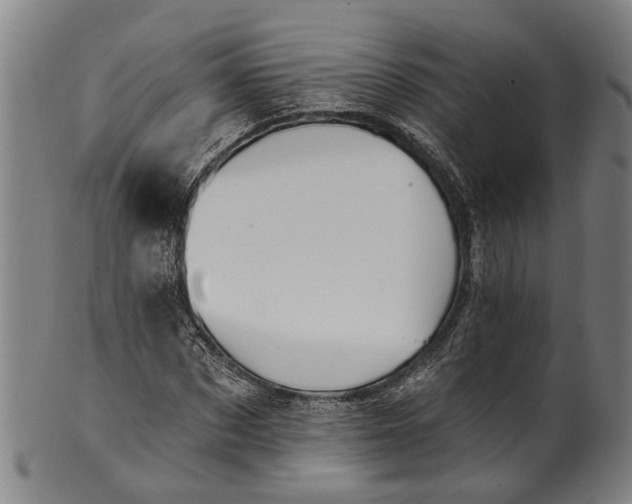 X0000101230873200807111117