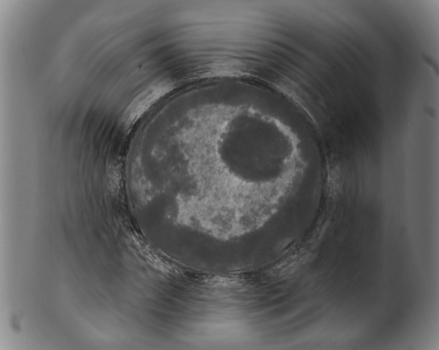 X0000101230874200807111117