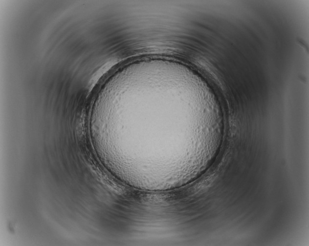 X0000101230875200807111117