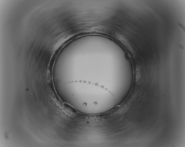 X0000101230876200807111117