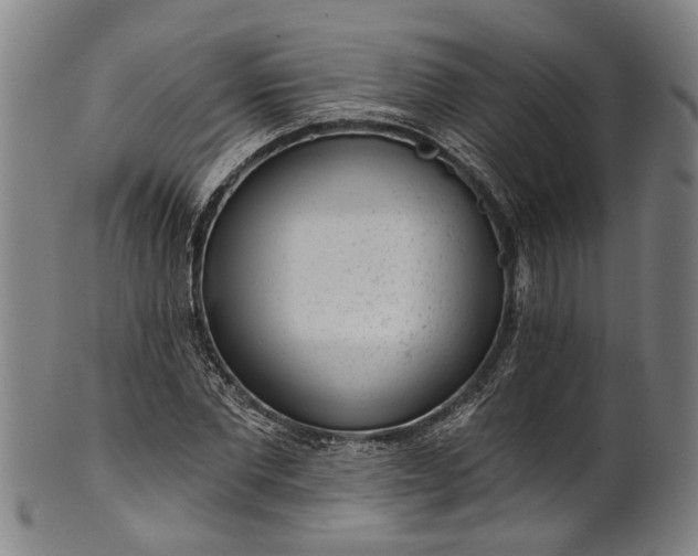 X0000101230877200807111117