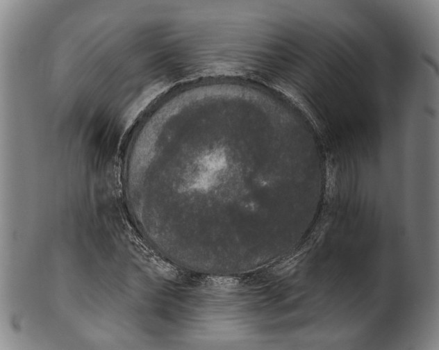 X0000101230878200807111117