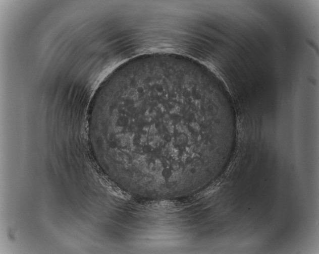 X0000101230879200807111117