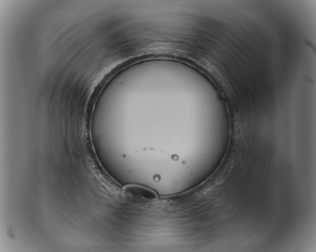 X0000101230880200807111117