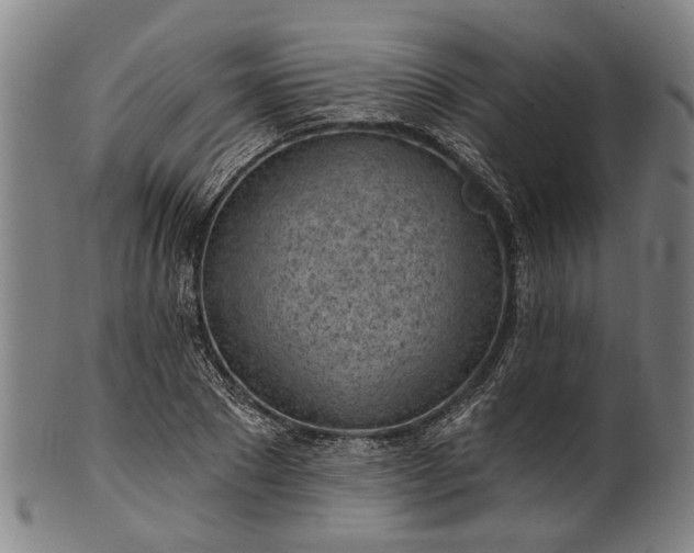 X0000101230881200807111117