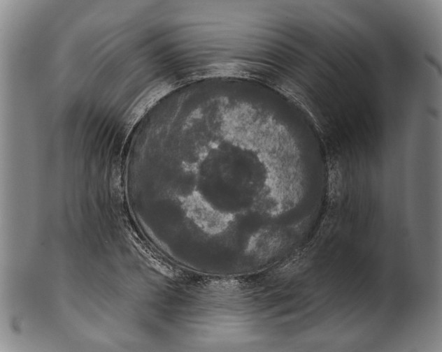 X0000101230882200807111117