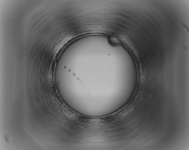 X0000101230883200807111117