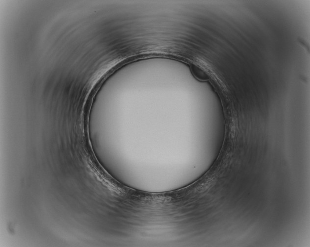 X0000101230884200807111117