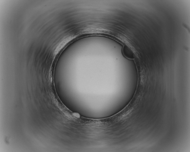 X0000101230885200807111117