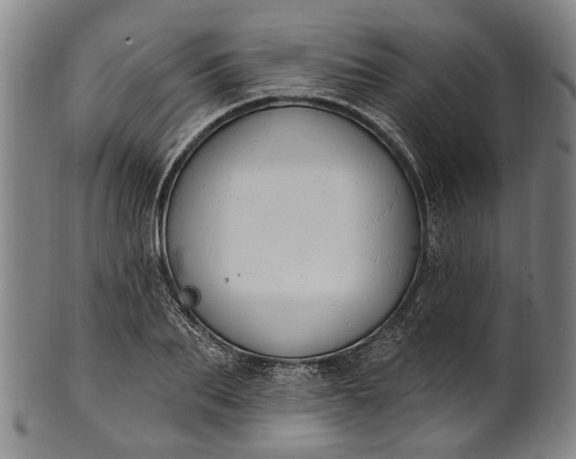 X0000101230887200807111117