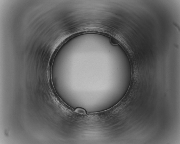 X0000101230888200807111117