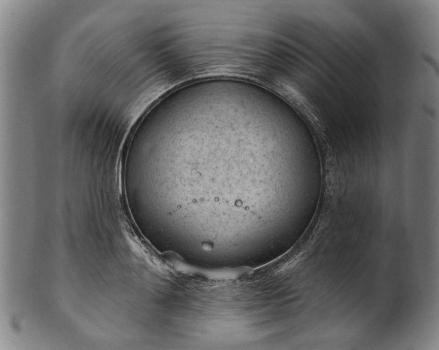 X0000101230892200807111117