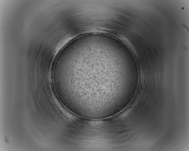 X0000101230893200807111117