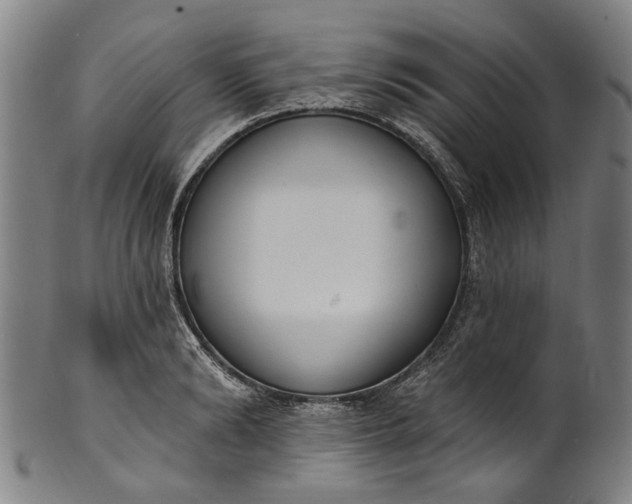 X0000101230894200807111117