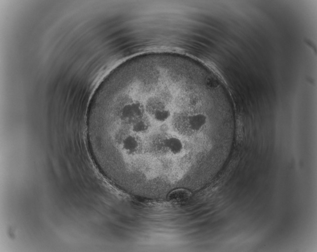 X0000101230895200807111117