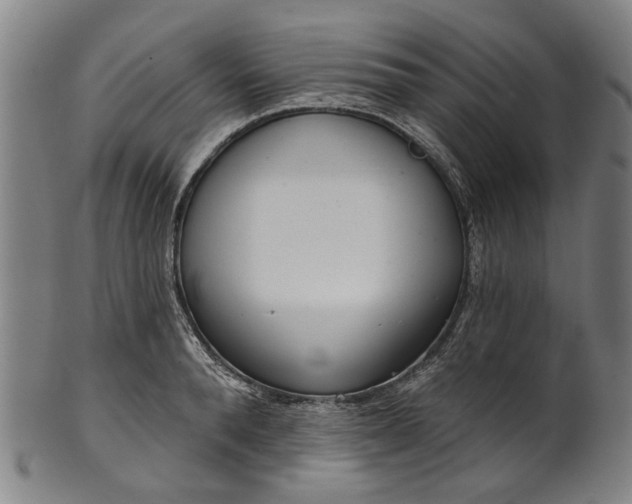 X0000101230896200807111117