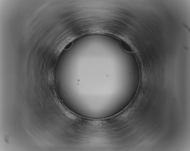 X0000101230897200807111117