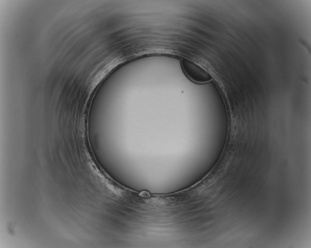 X0000101230898200807111117