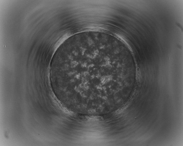 X0000101230899200807111117