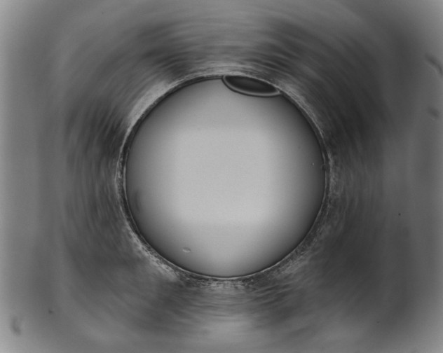 X0000101230901200807111117