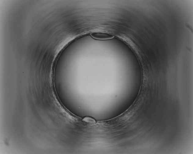 X0000101230902200807111117