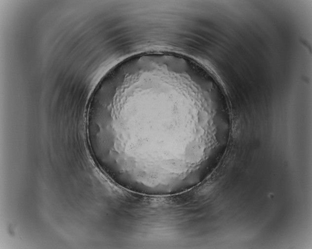 X0000101230903200807111117