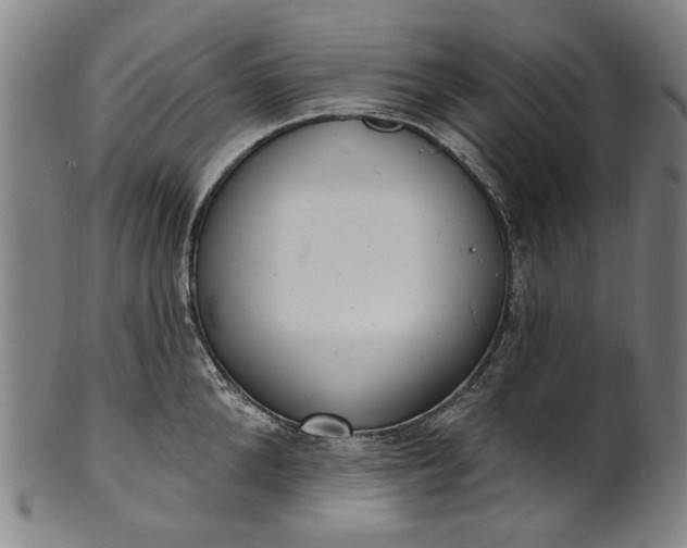 X0000101230904200807111117