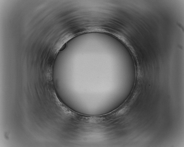 X0000101230905200807111117