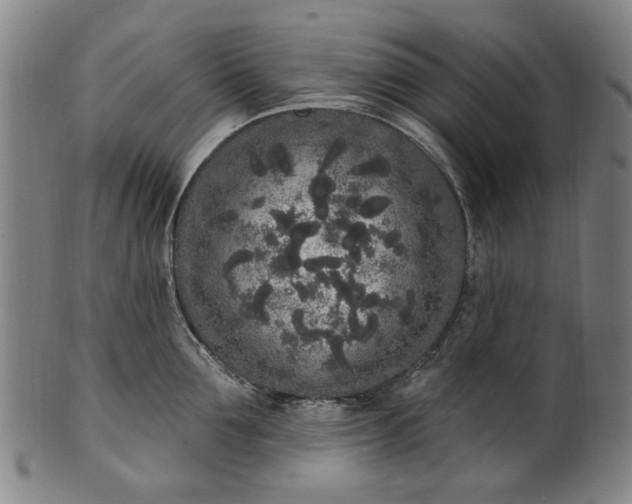 X0000101230907200807111117