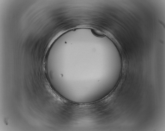 X0000101230908200807111117