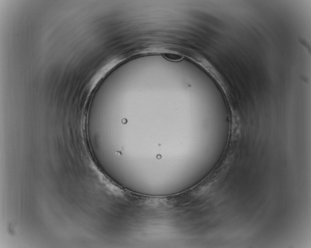 X0000101230909200807111117