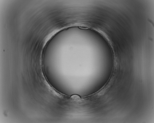 X0000101230910200807111117