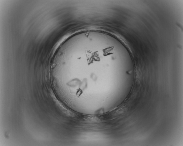 X0000101230911200807111117