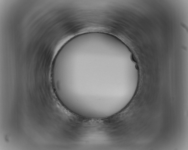 X0000101230912200807111117