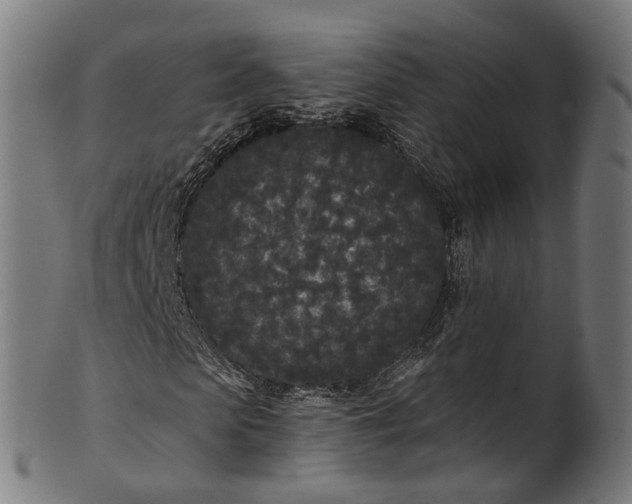 X0000101230913200807111116