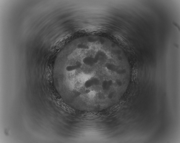 X0000101230917200807111116