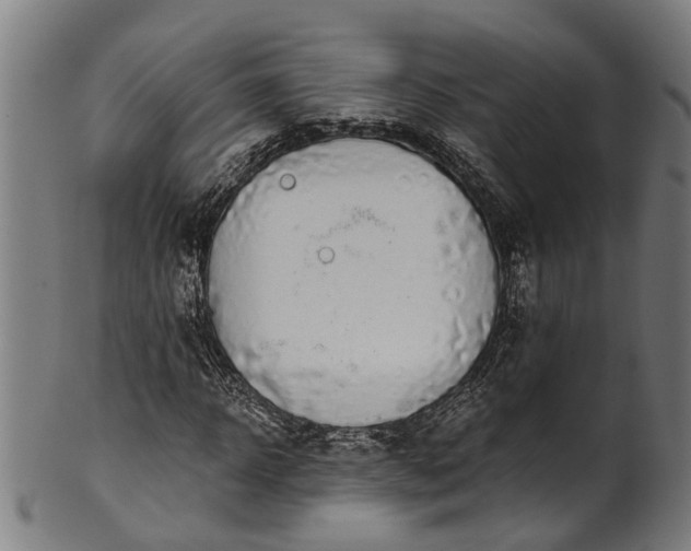 X0000101230918200807111116