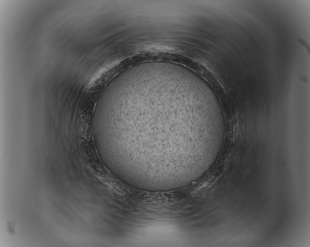 X0000101230919200807111116