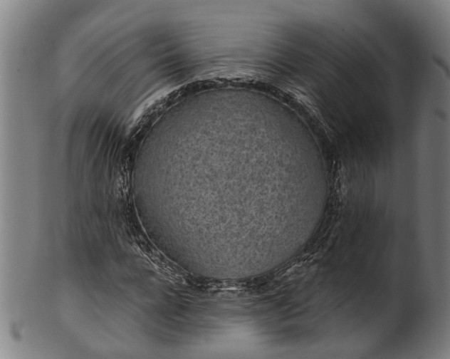 X0000101230920200807111116