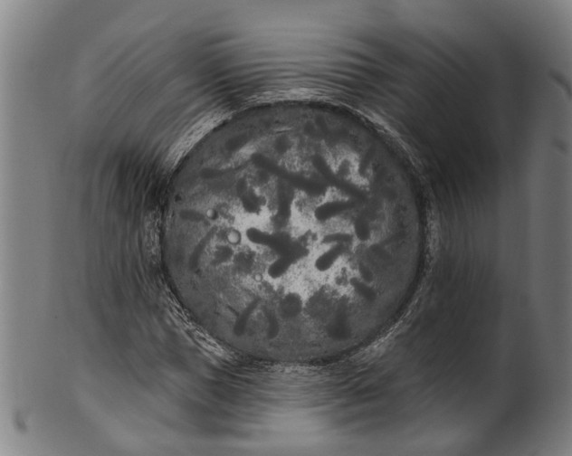 X0000101230921200807111116