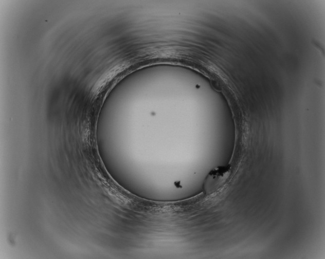 X0000101230922200807111116