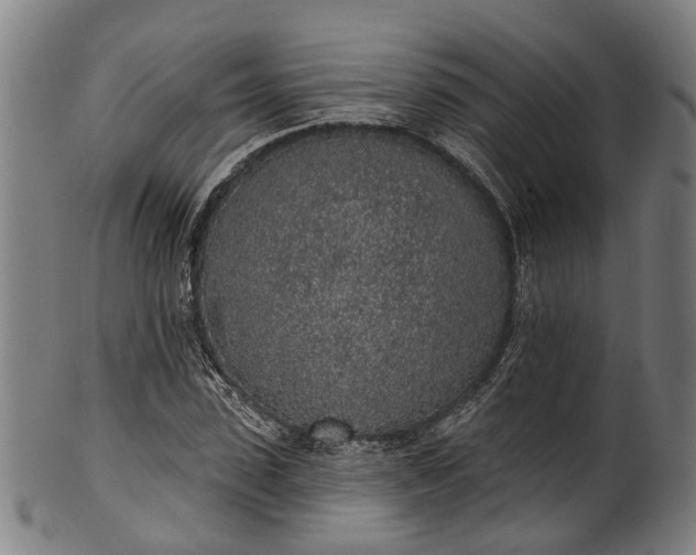 X0000101230923200807111116