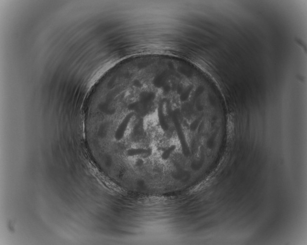 X0000101230925200807111116